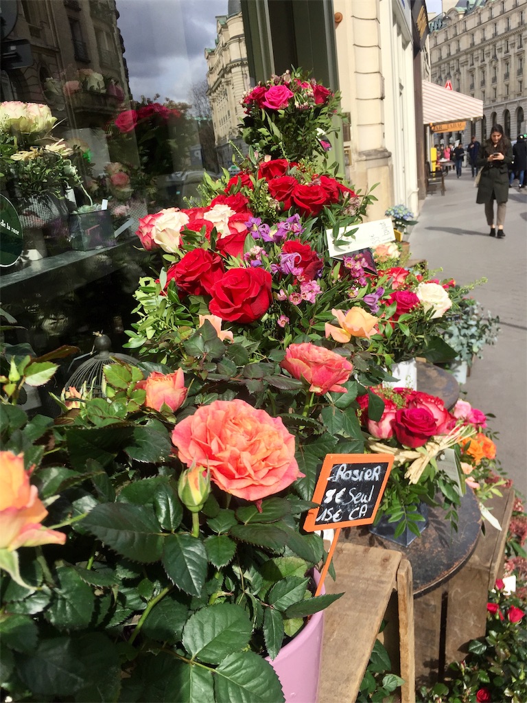 f:id:tomateo:20190322185502j:plain f:id:tomateo:20190322185502j:plain