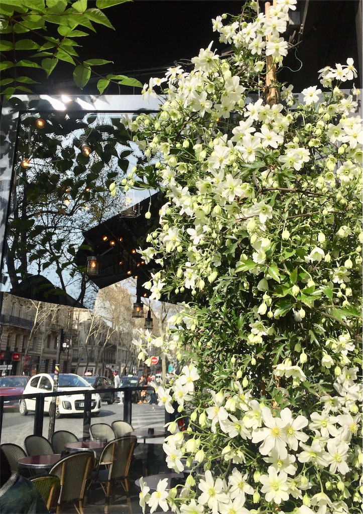 f:id:tomateo:20190331202054j:image