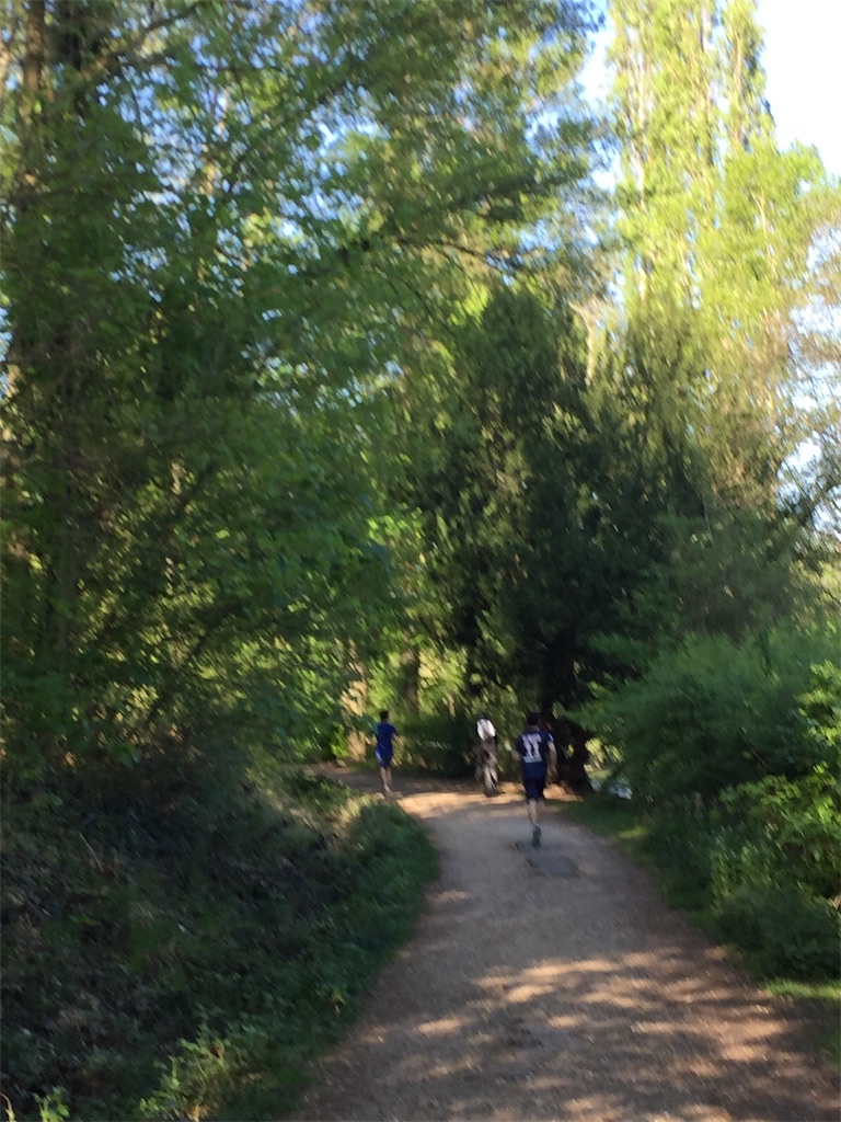 f:id:tomateo:20190421200111j:image