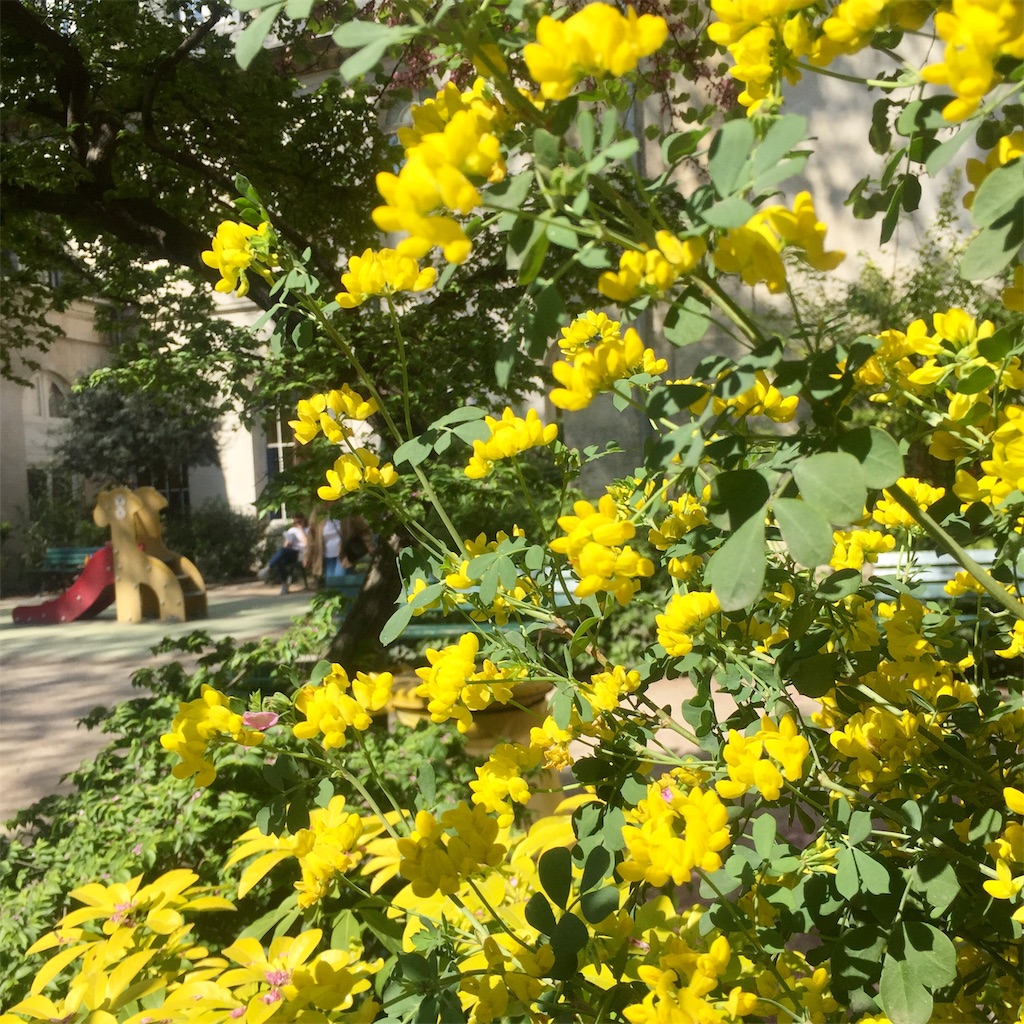 f:id:tomateo:20190422185405j:image f:id:tomateo:20190422185405j:image