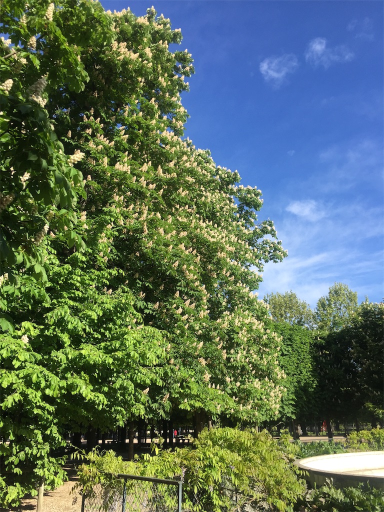 f:id:tomateo:20190426175738j:plain f:id:tomateo:20190426175738j:plain