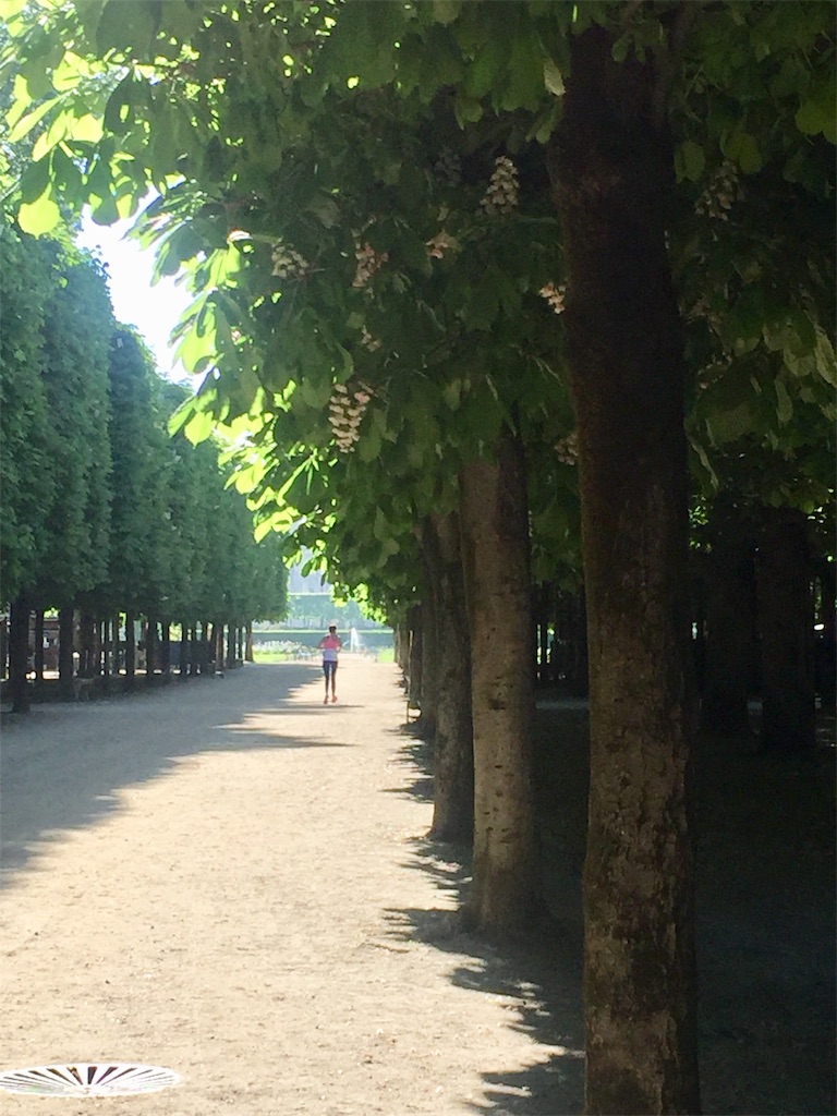 f:id:tomateo:20190426175930j:plain f:id:tomateo:20190426175930j:plain