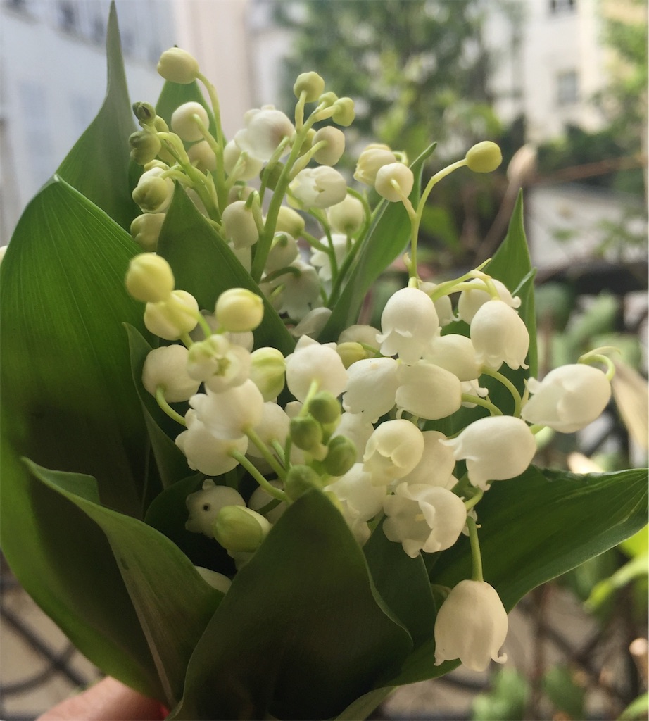 f:id:tomateo:20190501192430j:image f:id:tomateo:20190501192430j:image