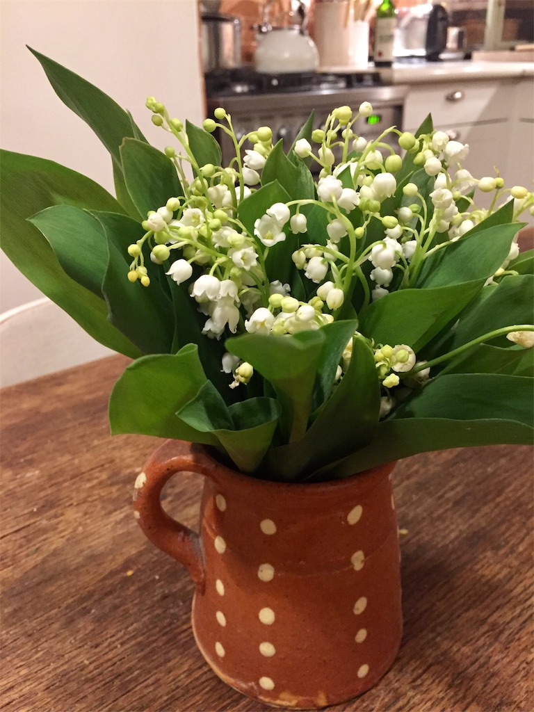 f:id:tomateo:20190502201522j:plain f:id:tomateo:20190502201522j:plain