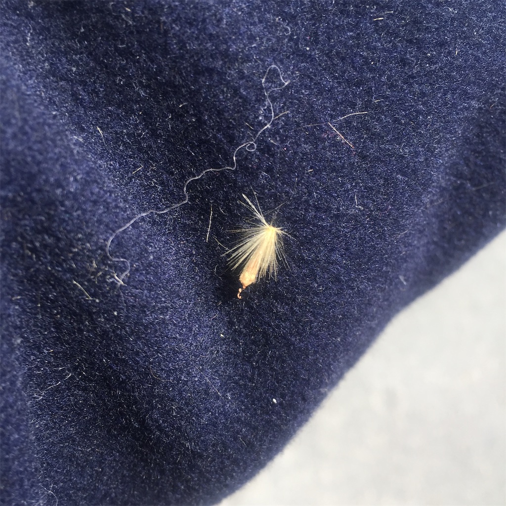 f:id:tomateo:20190506183030j:image