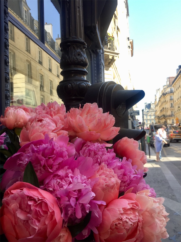 f:id:tomateo:20190513190358j:image