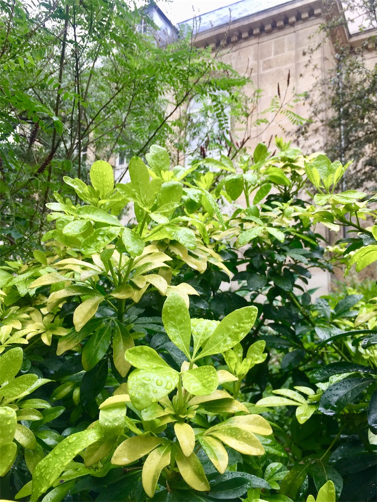 f:id:tomateo:20190612200713j:image