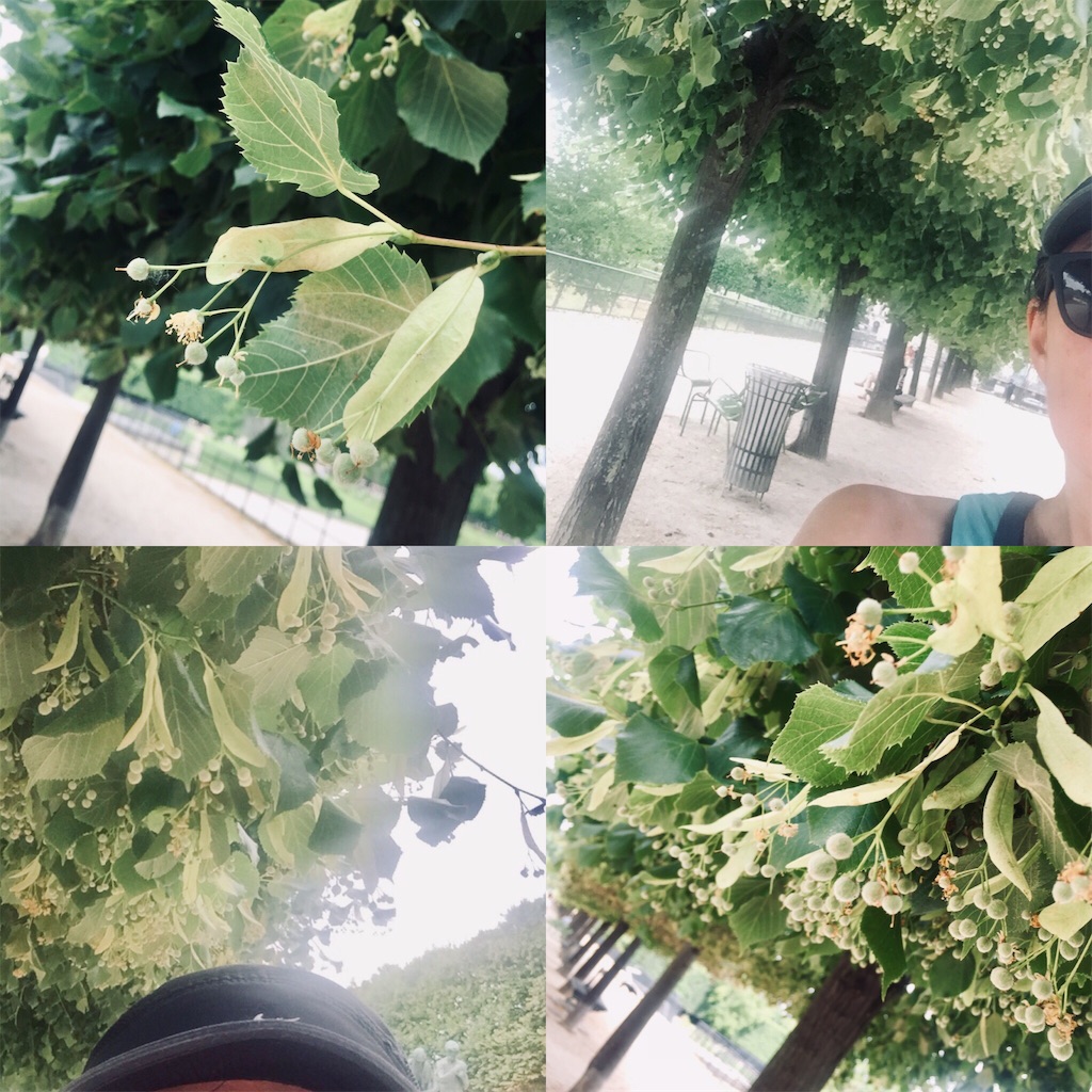 f:id:tomateo:20190619194429j:plain f:id:tomateo:20190619194429j:plain