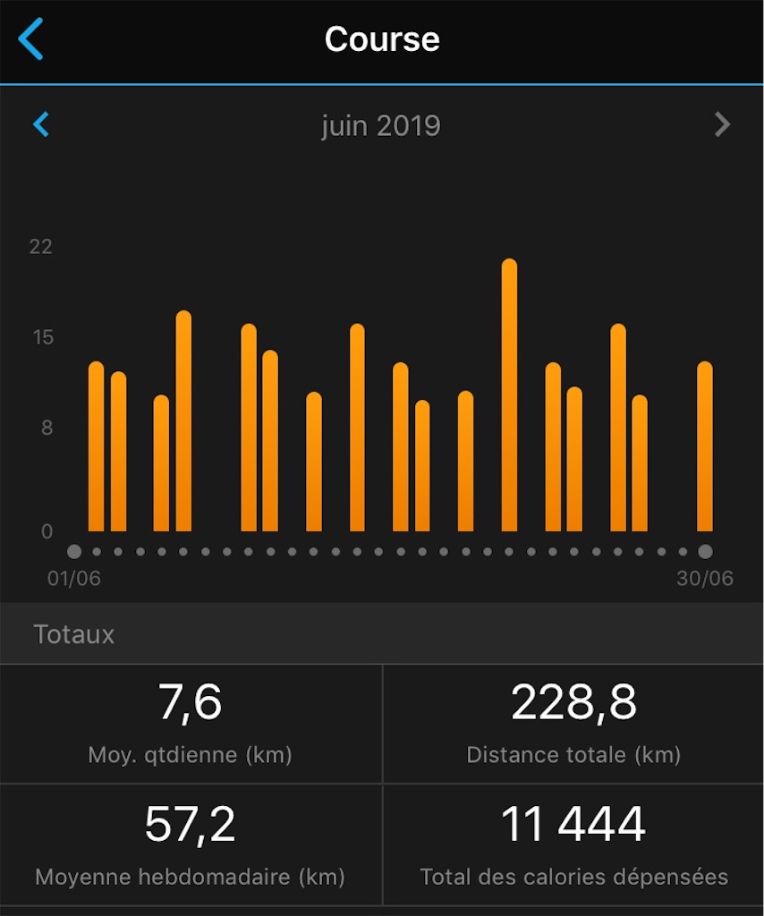 f:id:tomateo:20190701174535j:image