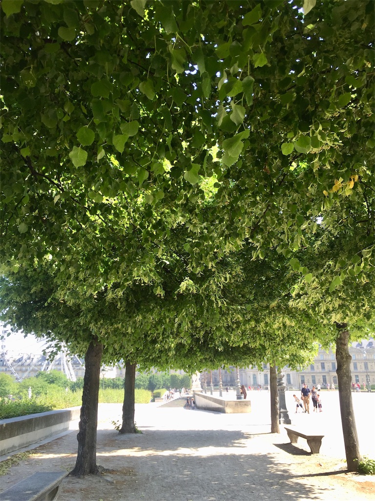 f:id:tomateo:20190708181021j:image f:id:tomateo:20190708181021j:image