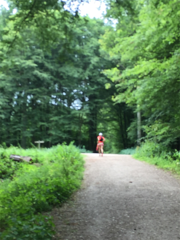 f:id:tomateo:20190714211429j:image f:id:tomateo:20190714211429j:image