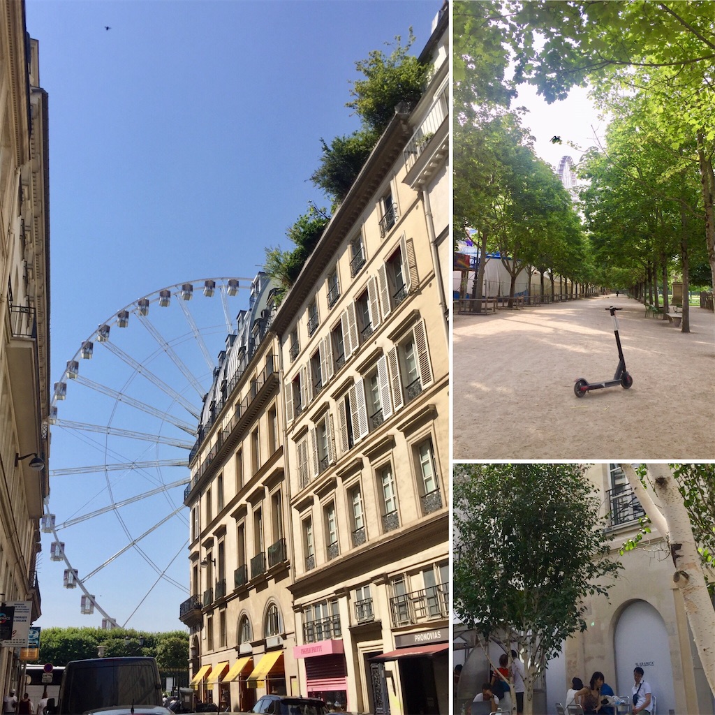 f:id:tomateo:20190725070528j:image
