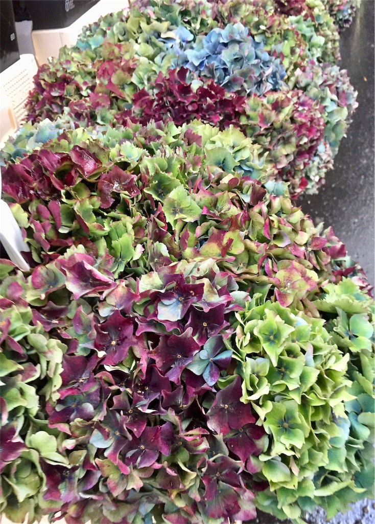 f:id:tomateo:20190928195154j:image f:id:tomateo:20190928195154j:image