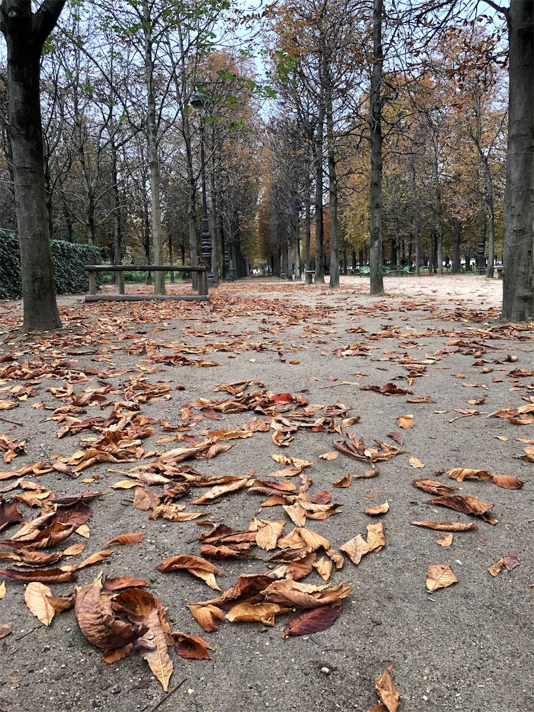 f:id:tomateo:20191025195901j:image