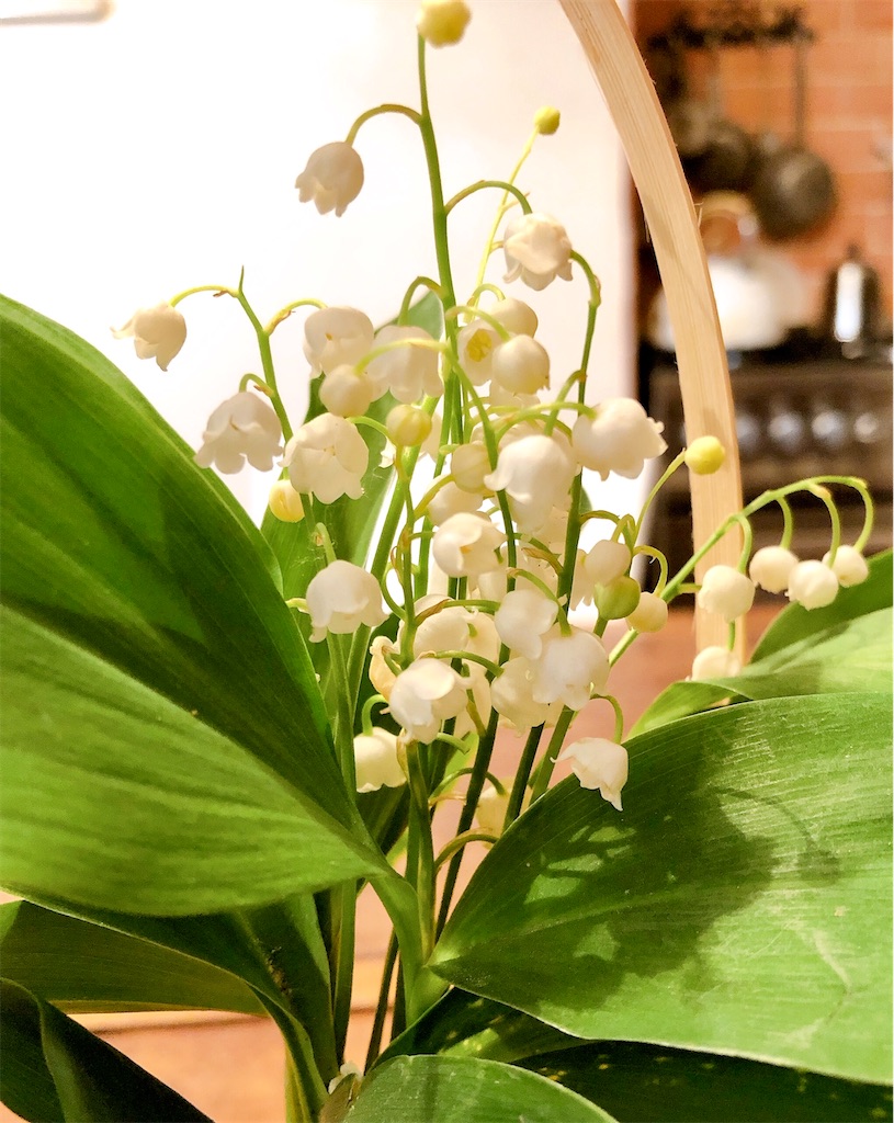 f:id:tomateo:20200430202625j:image