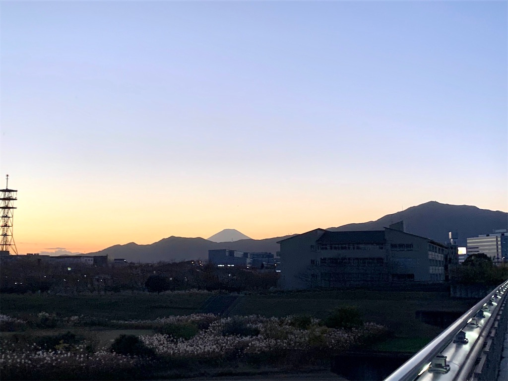 f:id:tomateo:20201121221806j:image f:id:tomateo:20201121221806j:image
