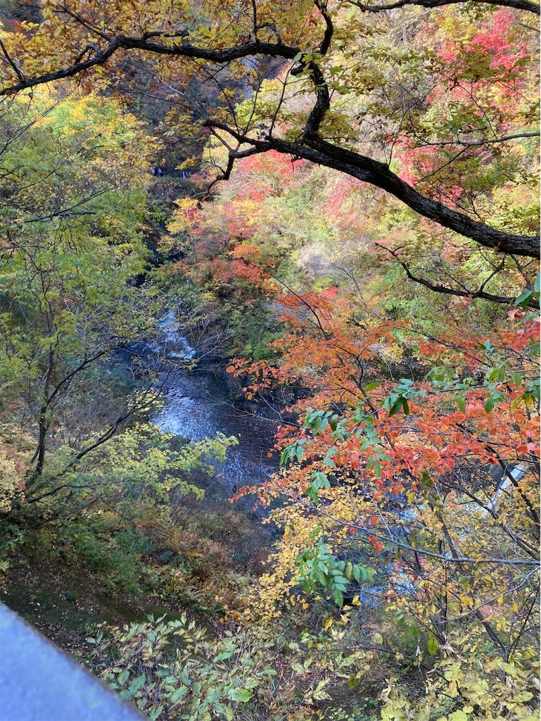 f:id:tomateo:20211106215210j:image