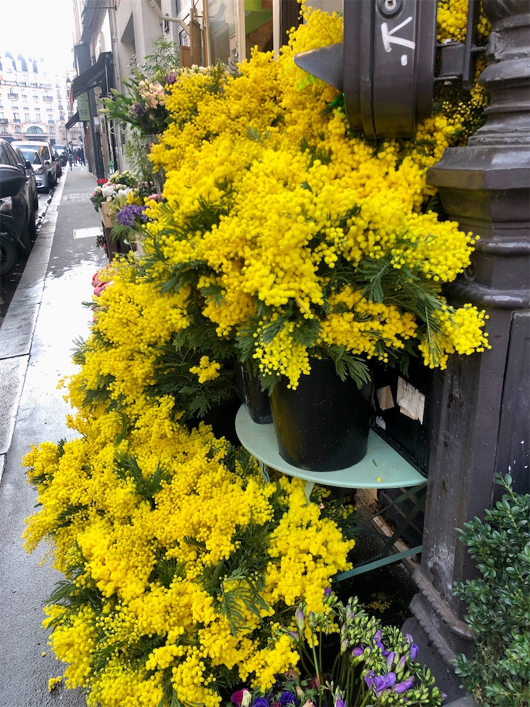 f:id:tomateo:20220115223022j:image f:id:tomateo:20220115223022j:image