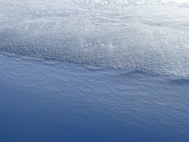 f:id:tomato11032:20201231155111j:plain