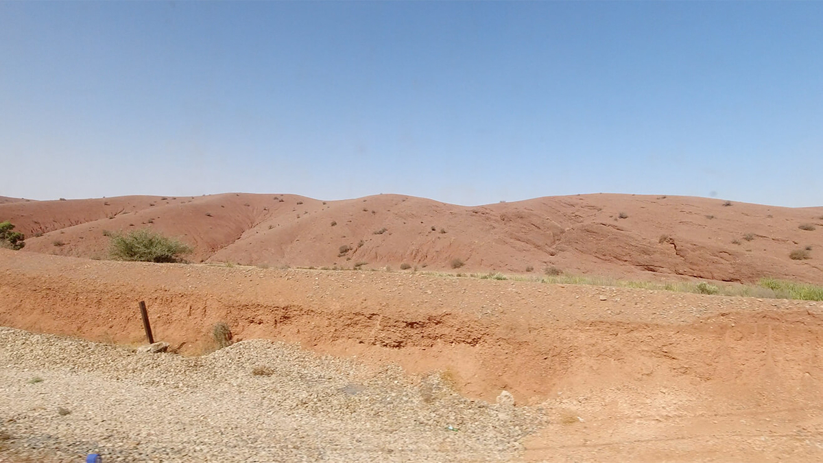 OCNFの窓からの風景