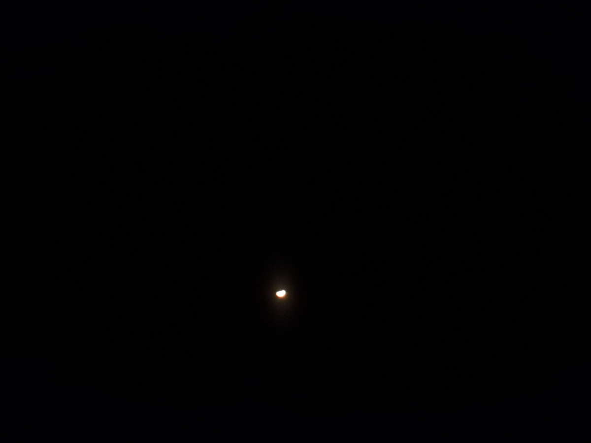 f:id:tomato_1:20200404154939j:plain