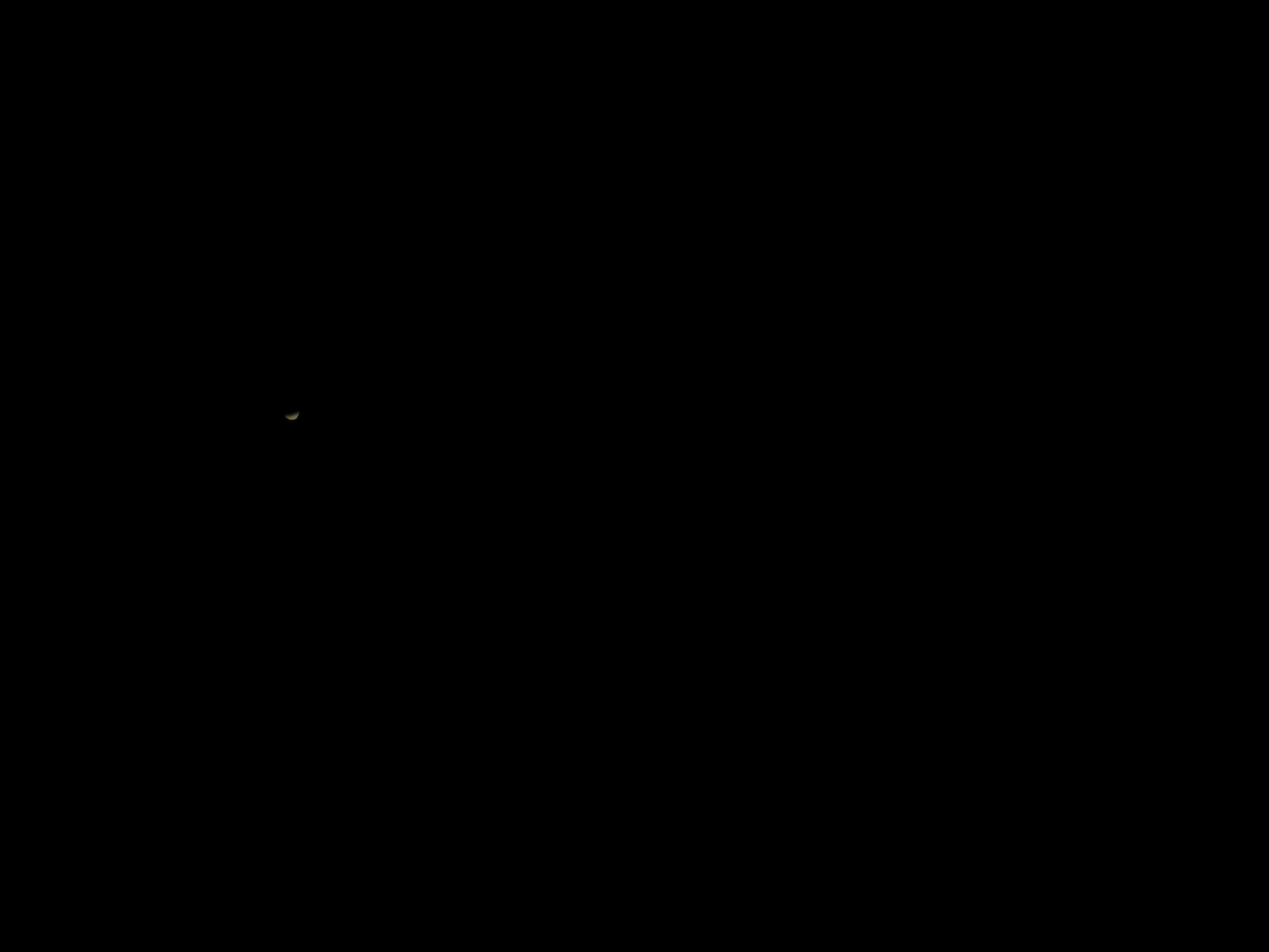 f:id:tomato_1:20200405121209j:plain