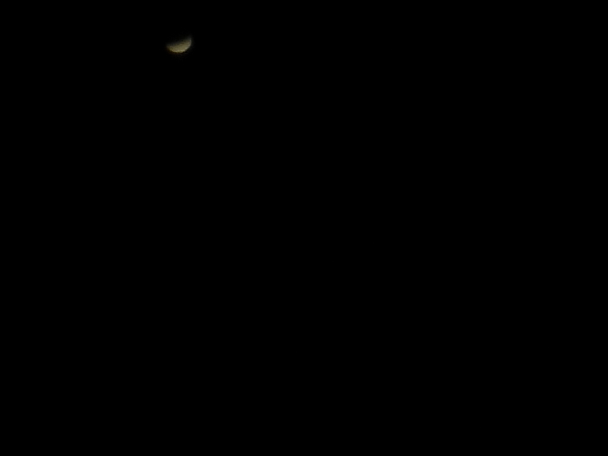 f:id:tomato_1:20200405121824j:plain