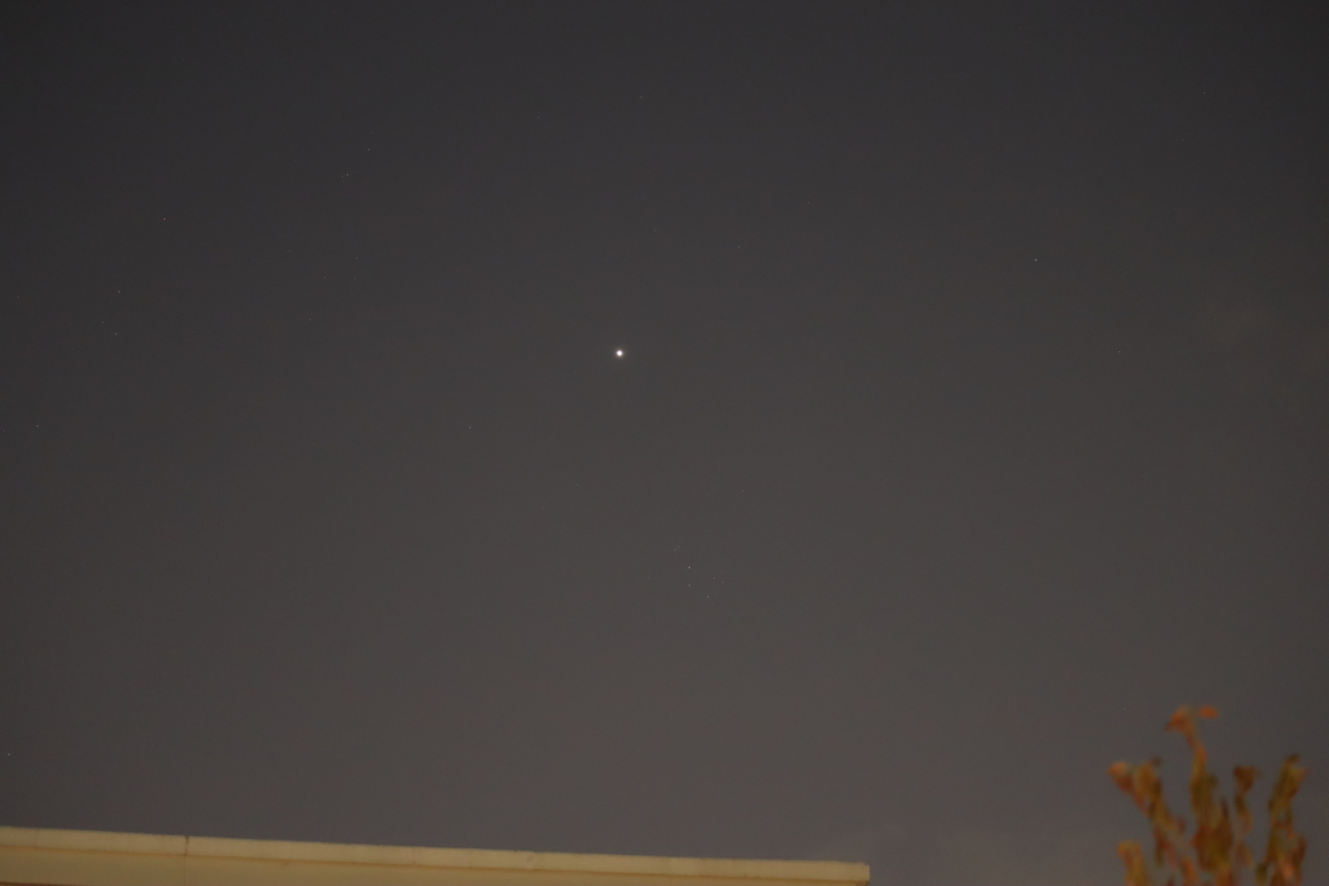 f:id:tomato_1:20200408212925j:plain