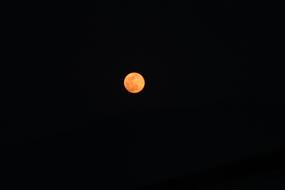 f:id:tomato_1:20200408225658j:plain