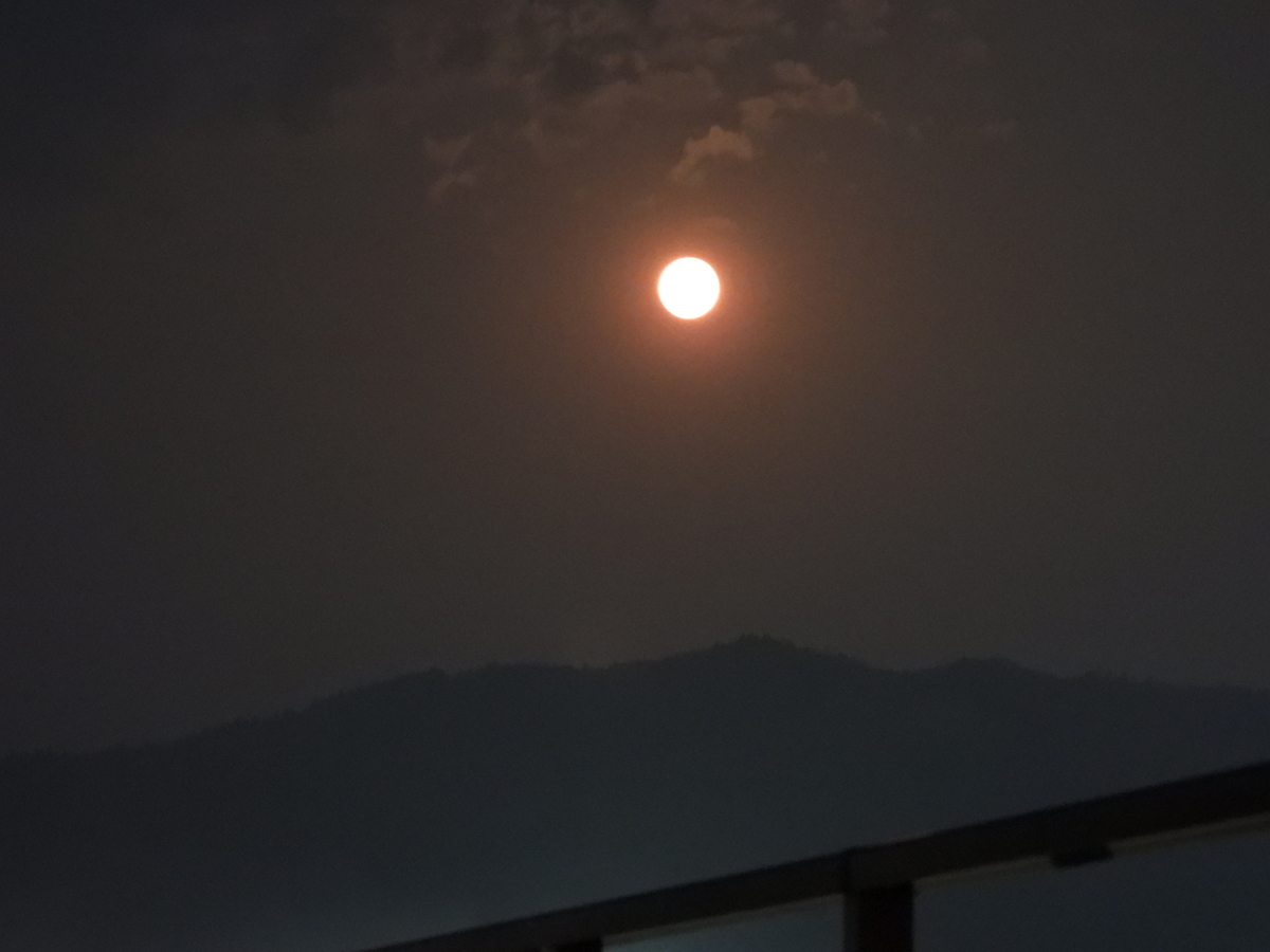 f:id:tomato_1:20200408231908j:plain