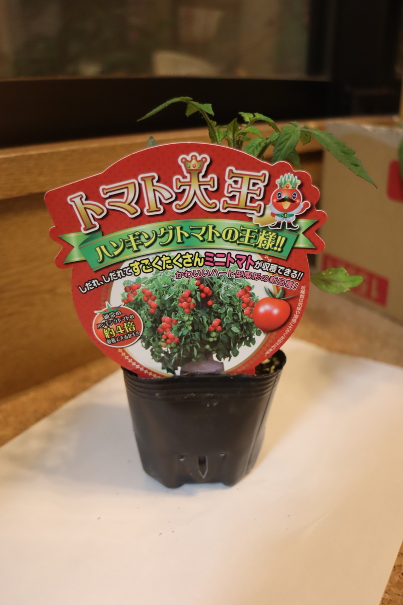 f:id:tomato_1:20200417212700j:plain f:id:tomato_1:20200417212700j:plain
