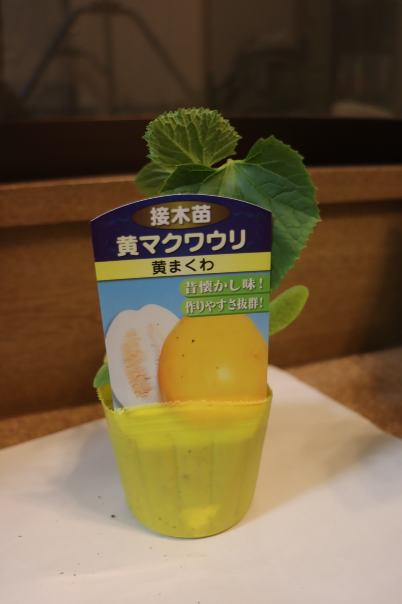 f:id:tomato_1:20200417223614j:plain f:id:tomato_1:20200417223614j:plain