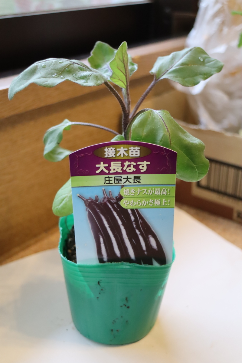 f:id:tomato_1:20200417230519j:plain f:id:tomato_1:20200417230519j:plain