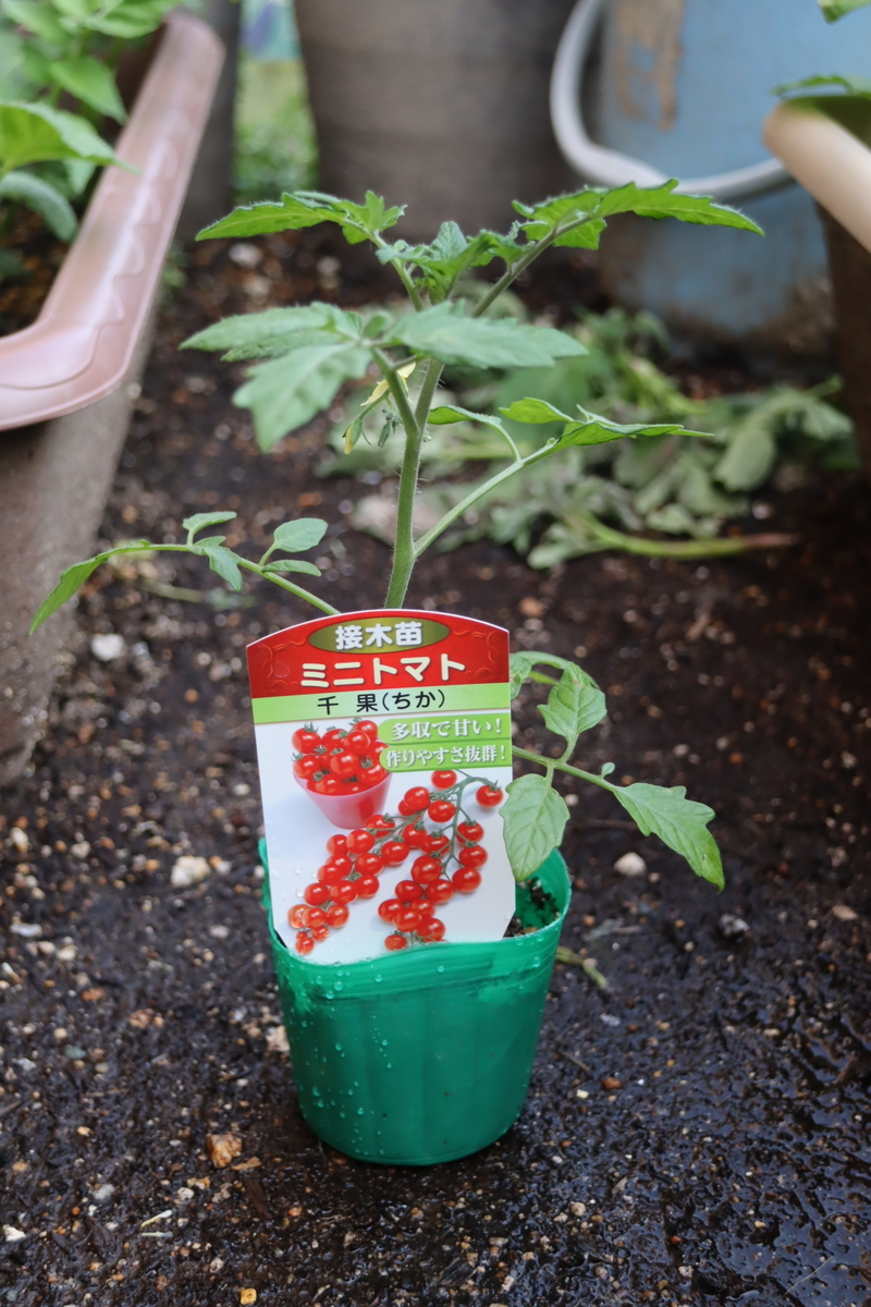 f:id:tomato_1:20200422005641j:plain f:id:tomato_1:20200422005641j:plain