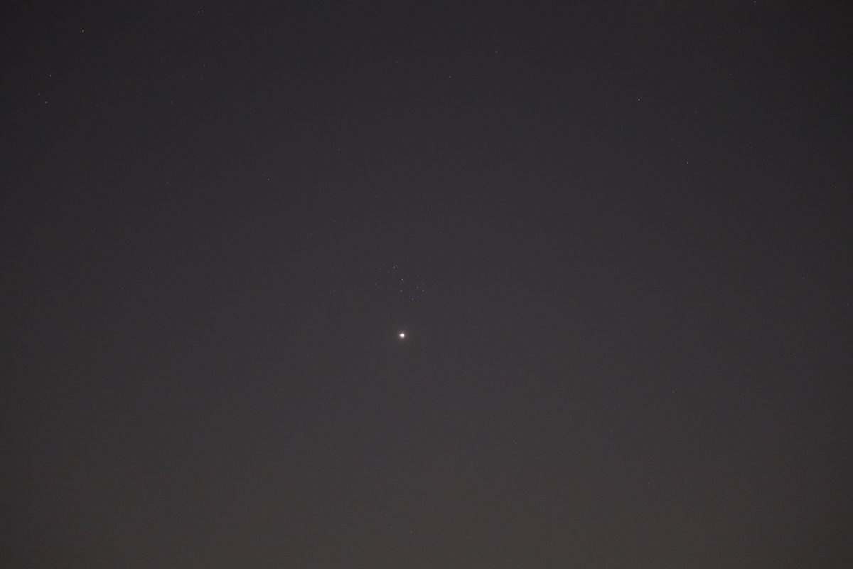 f:id:tomato_1:20200509171238j:plain