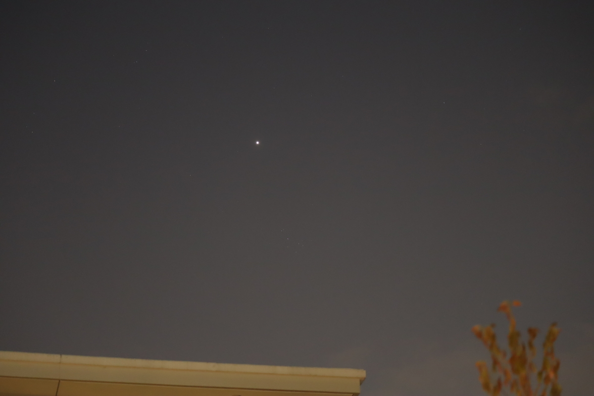 f:id:tomato_1:20200509175258j:plain