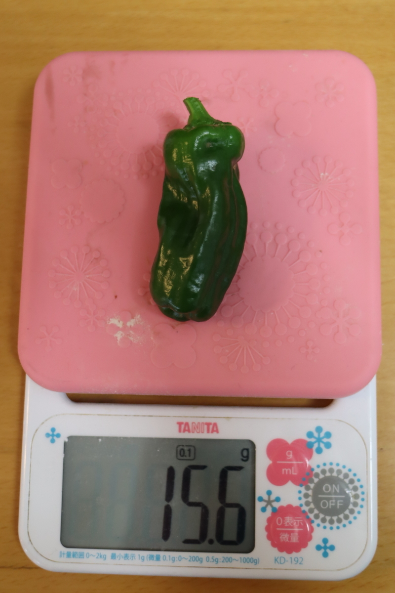 f:id:tomato_1:20200601201822j:plain