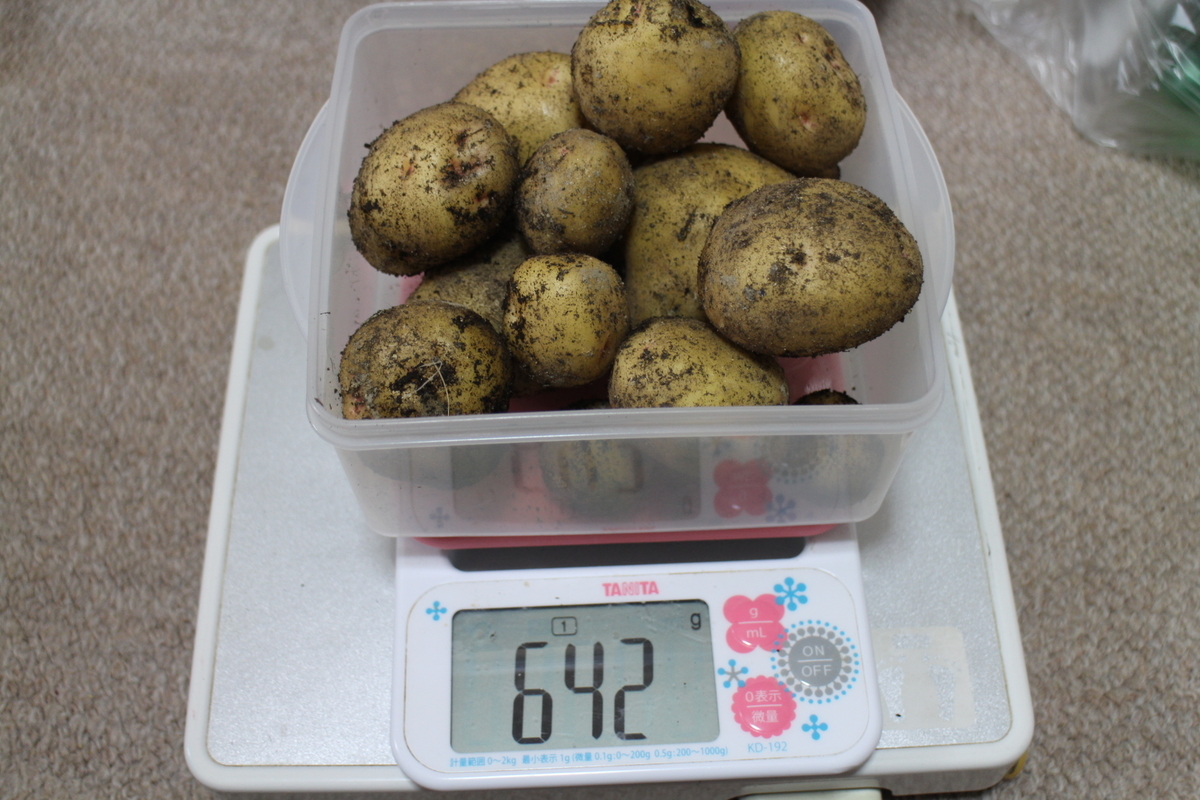 f:id:tomato_1:20200603001438j:plain