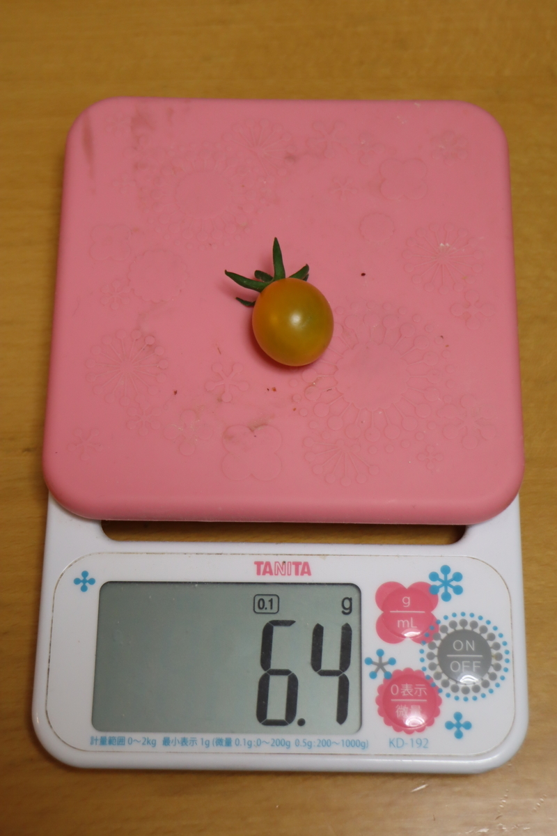 f:id:tomato_1:20200605000212j:plain