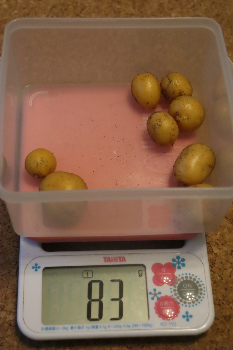 f:id:tomato_1:20200611000125j:plain f:id:tomato_1:20200611000125j:plain