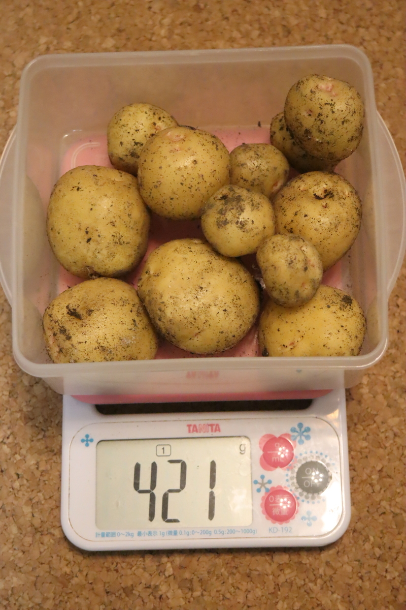 f:id:tomato_1:20200611002325j:plain f:id:tomato_1:20200611002325j:plain