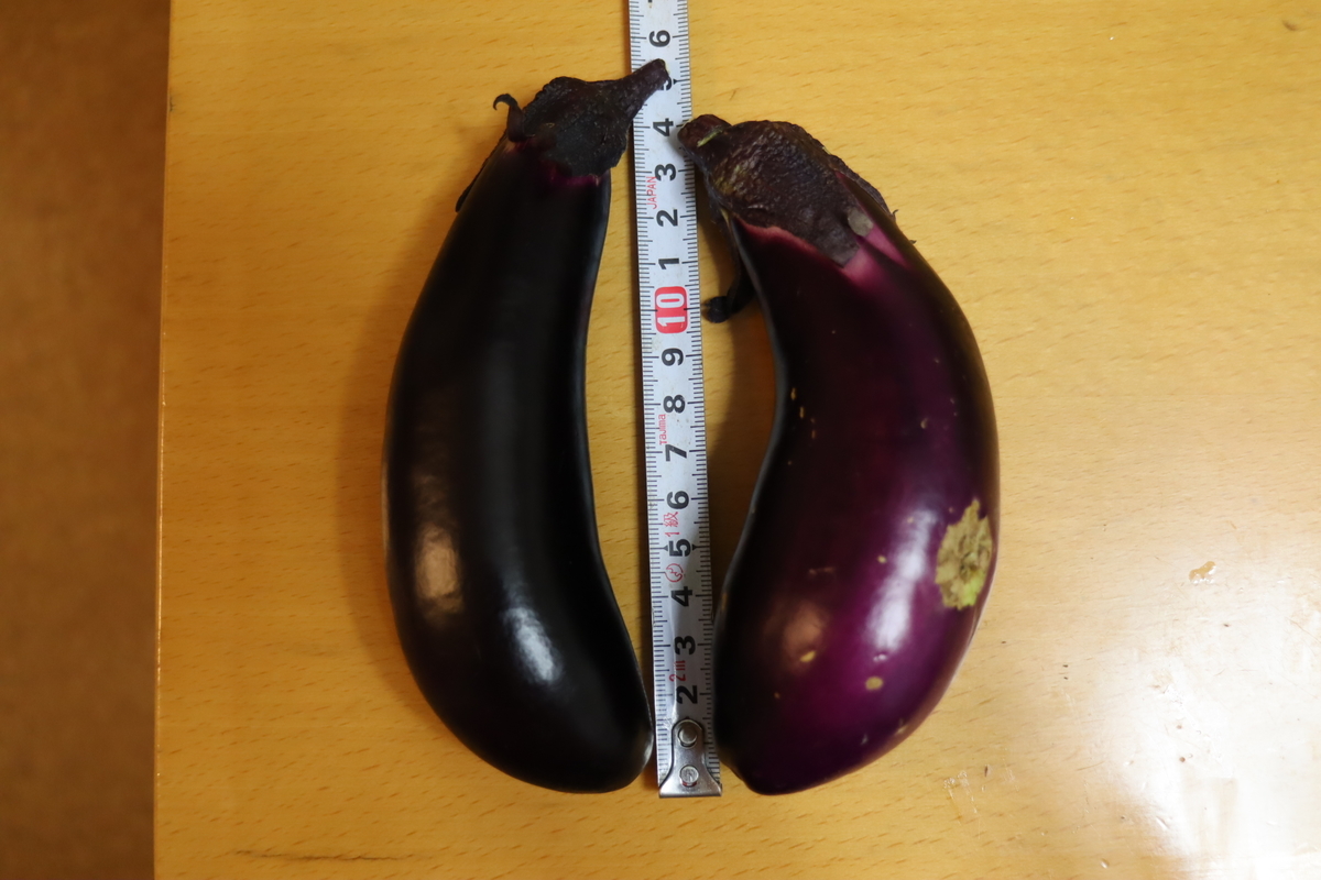 f:id:tomato_1:20200620002733j:plain