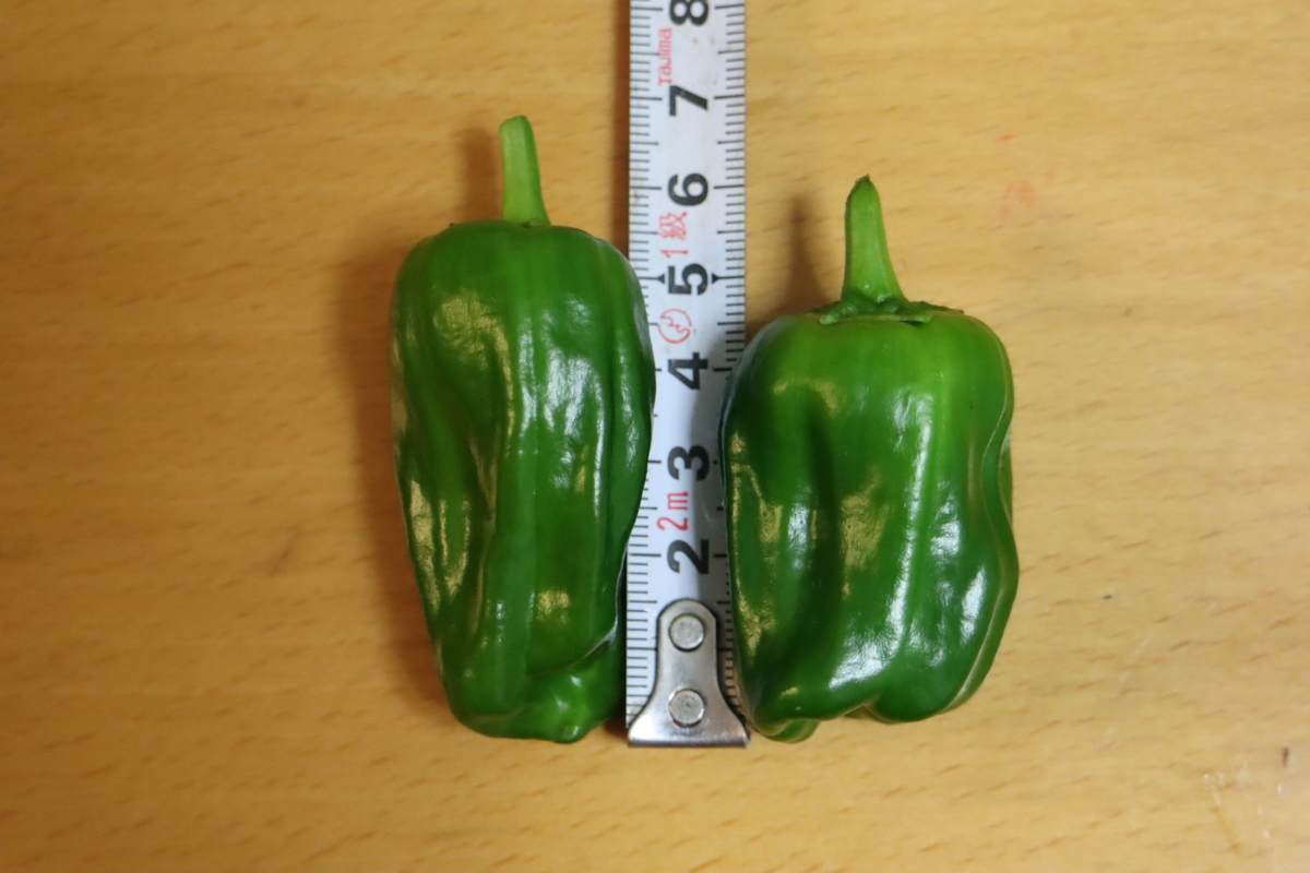 f:id:tomato_1:20200620003208j:plain