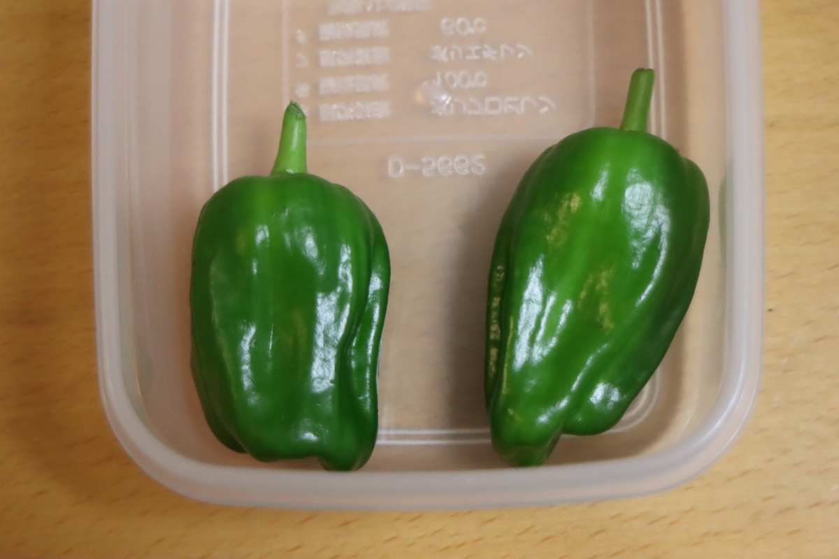 f:id:tomato_1:20200620003432j:plain