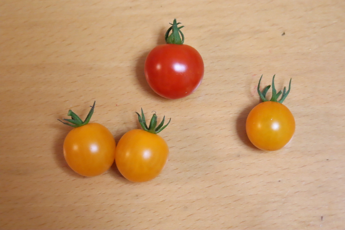 f:id:tomato_1:20200620003713j:plain