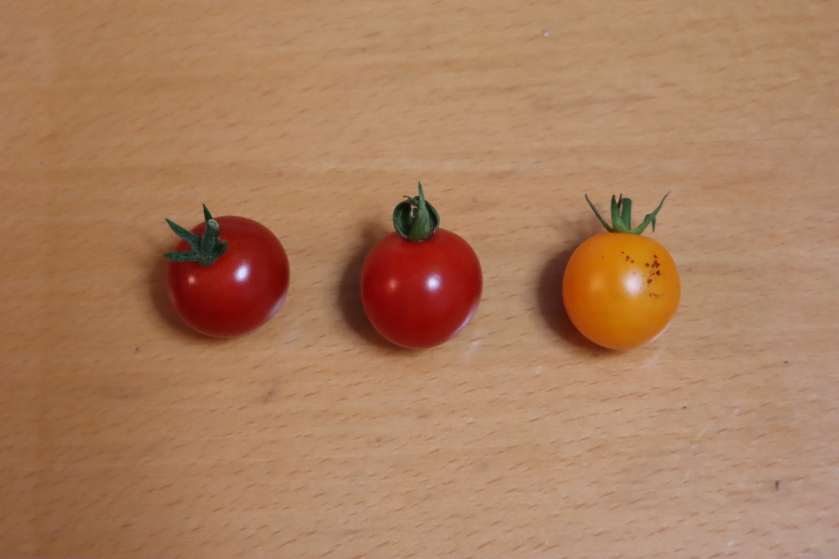 f:id:tomato_1:20200623013501j:plain