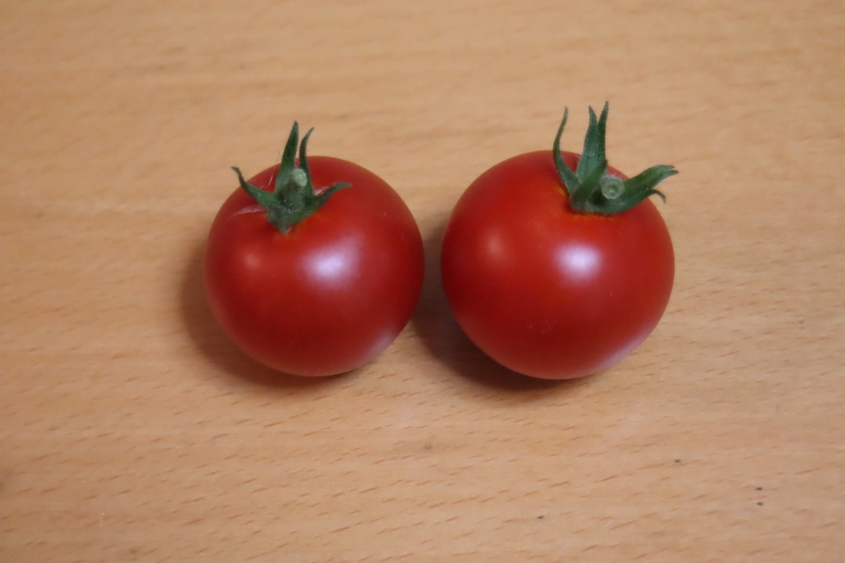 f:id:tomato_1:20200625134404j:plain