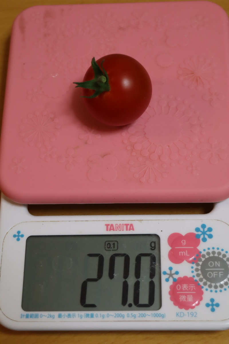 f:id:tomato_1:20200625134426j:plain