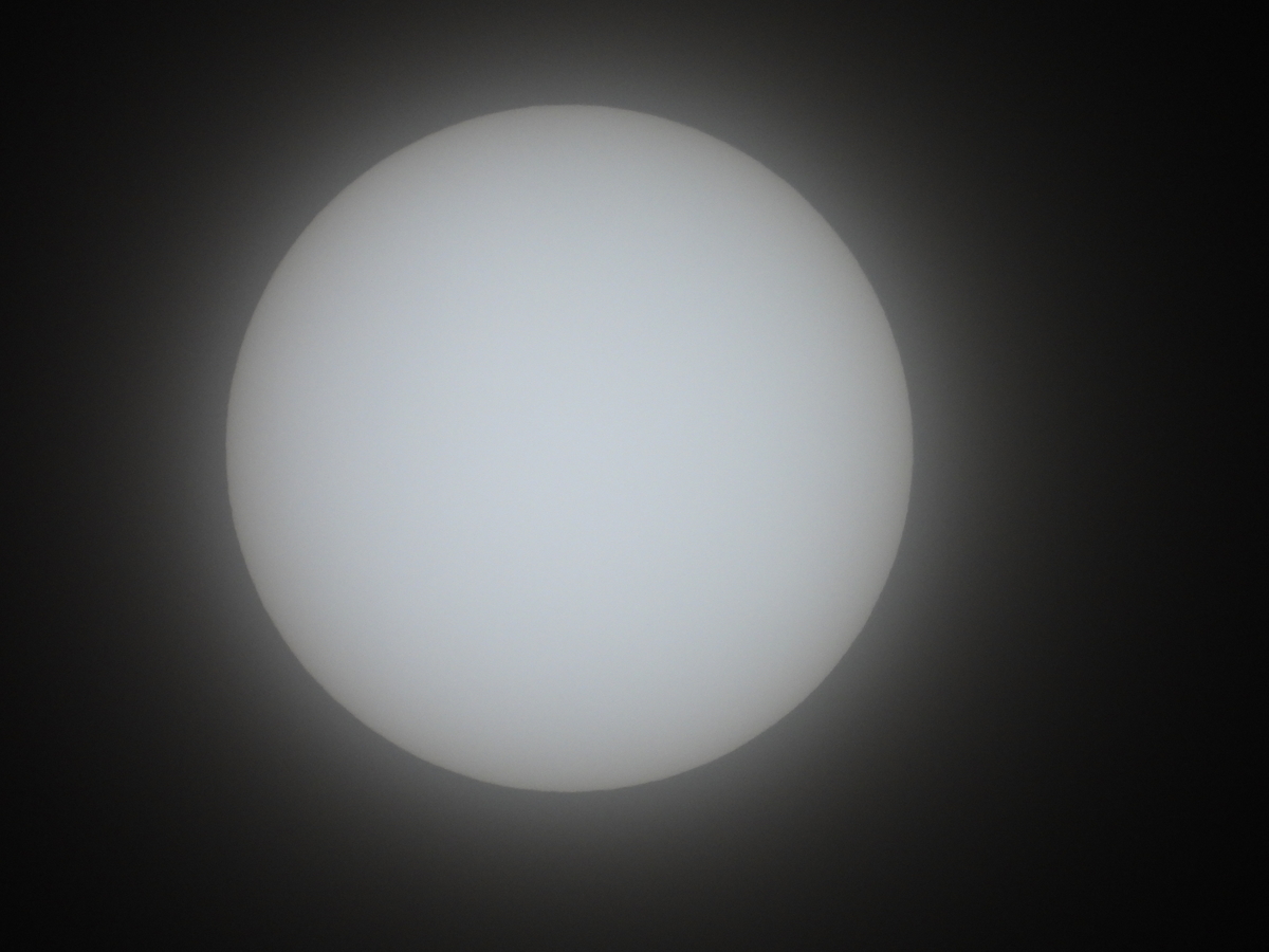 f:id:tomato_1:20200626001252j:plain