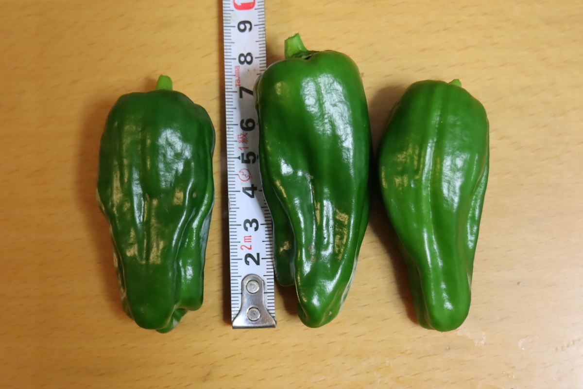 f:id:tomato_1:20200627223150j:plain